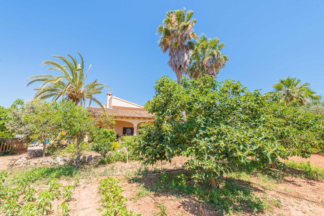 Villa Clau De Sol Can Picafort  Exterior foto