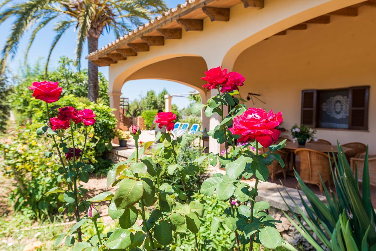 Villa Clau De Sol Can Picafort  Exterior foto