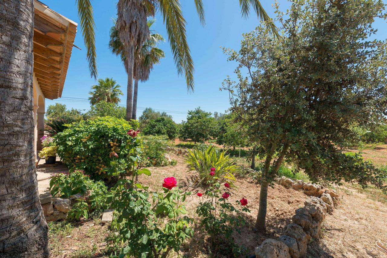 Villa Clau De Sol Can Picafort  Exterior foto